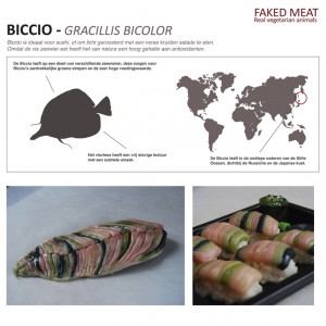 BiccioposterNL