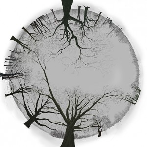 DOMEMASTER BOMEN