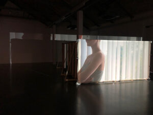 IMG 4853